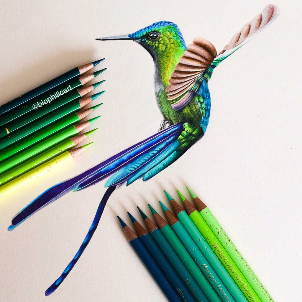 Colorful Hummingbird Drawing High-Quality