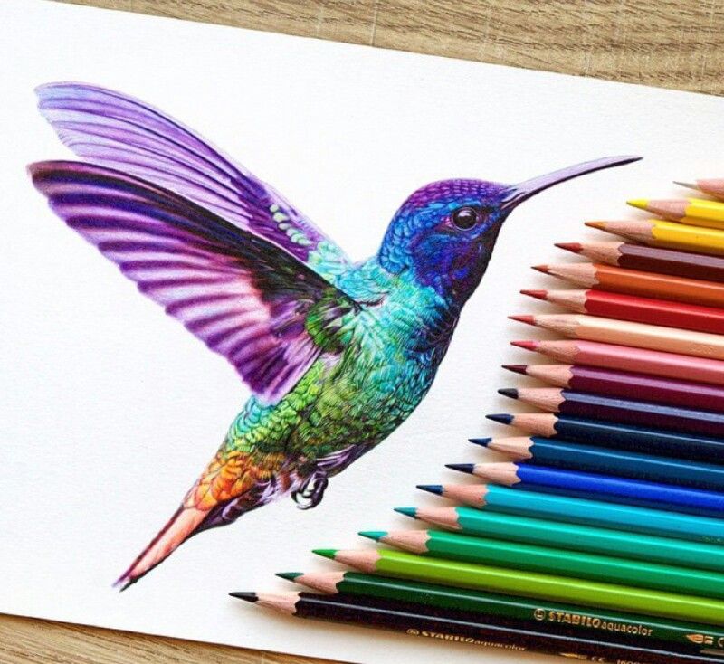 Colorful Hummingbird Drawing Image