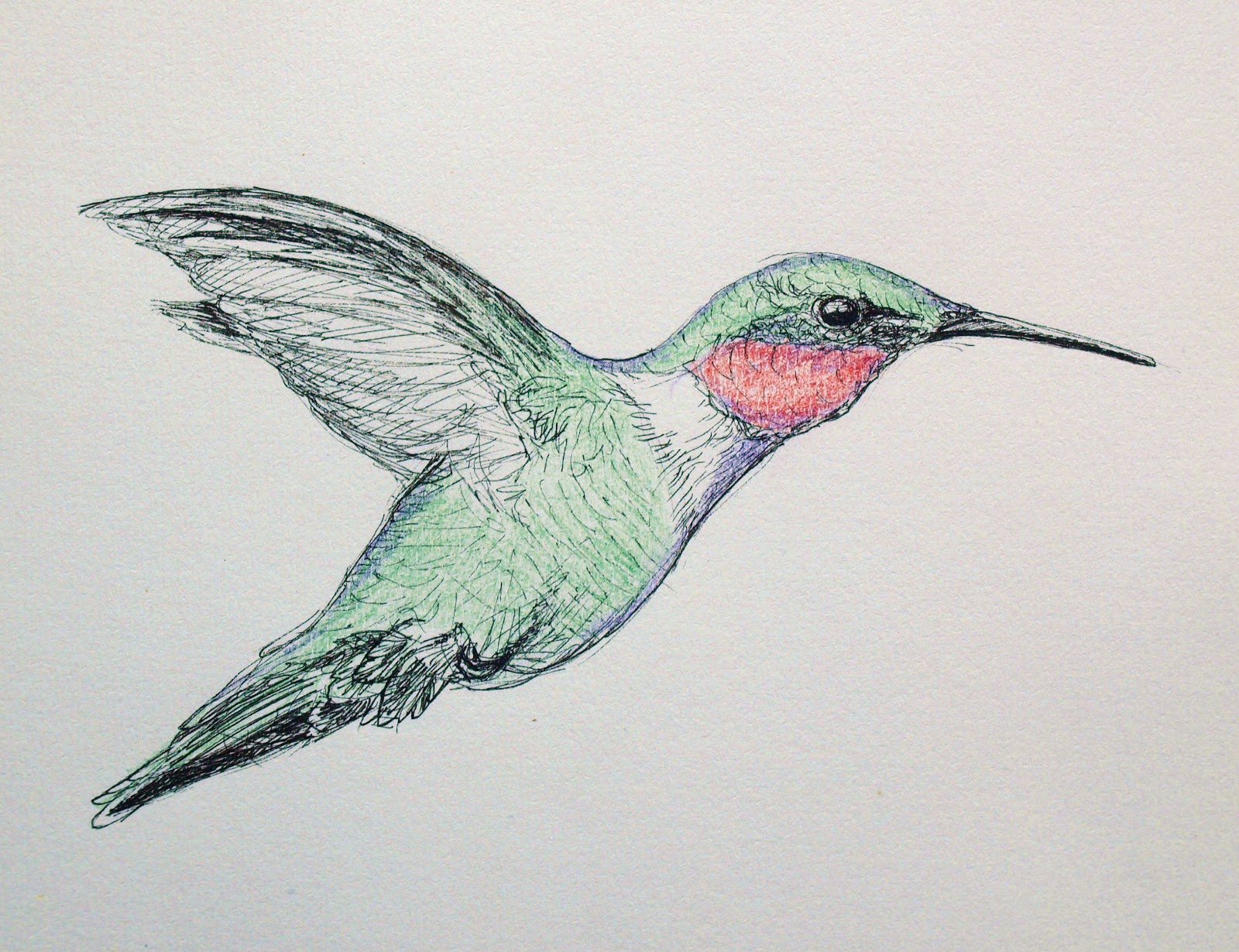 Colorful Hummingbird Drawing Pic
