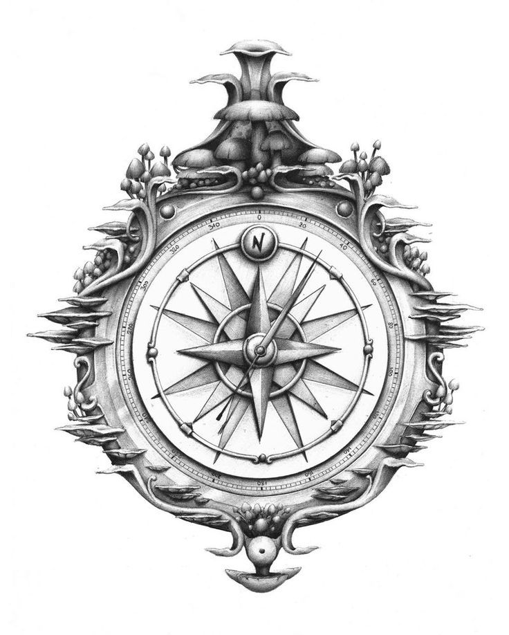 Compass Drawing High-Quality