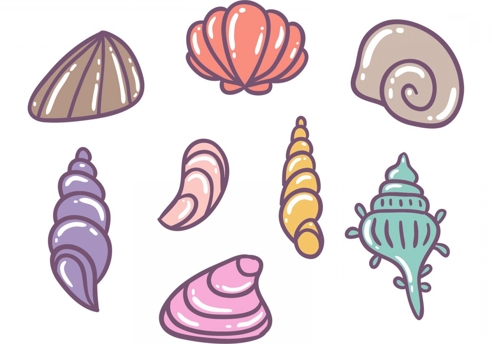 Conch Seashell Drawing Images