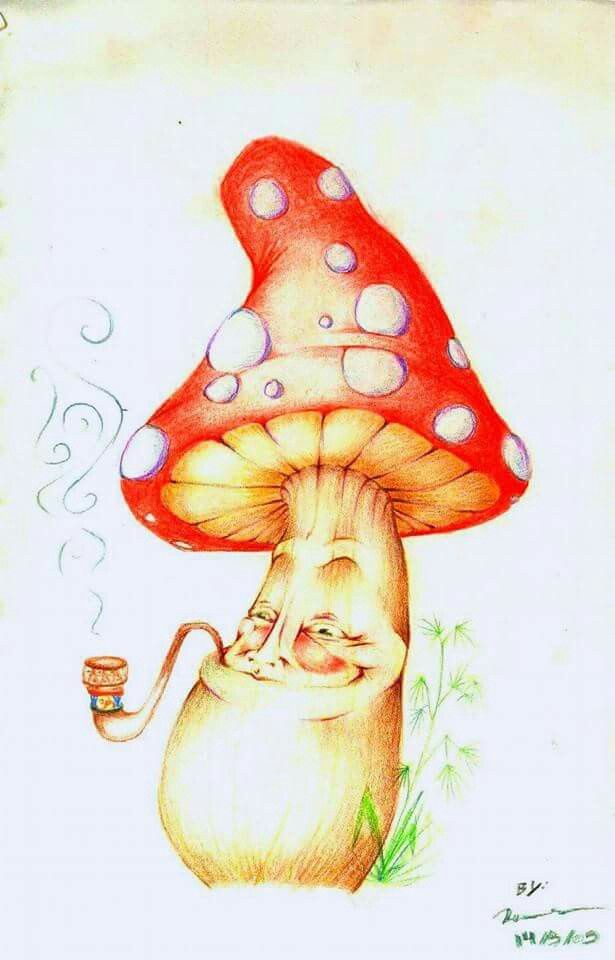 Cool Mushroom Drawing Beautiful Art