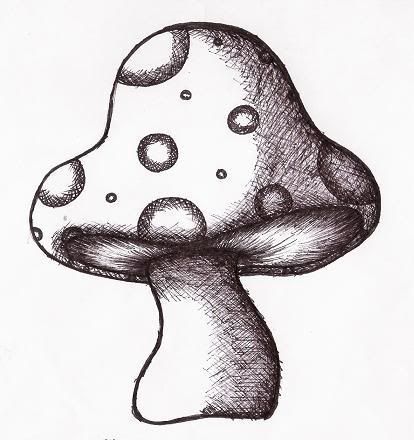 Cool Mushroom Drawing Beautiful Image