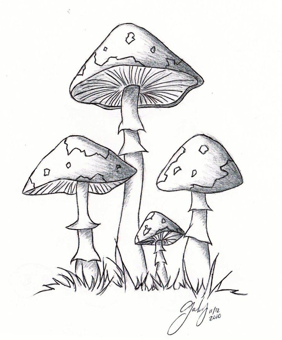 Cool Mushroom Drawing High-Quality