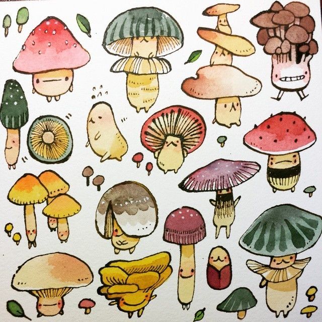 Cool Mushroom Drawing Photos
