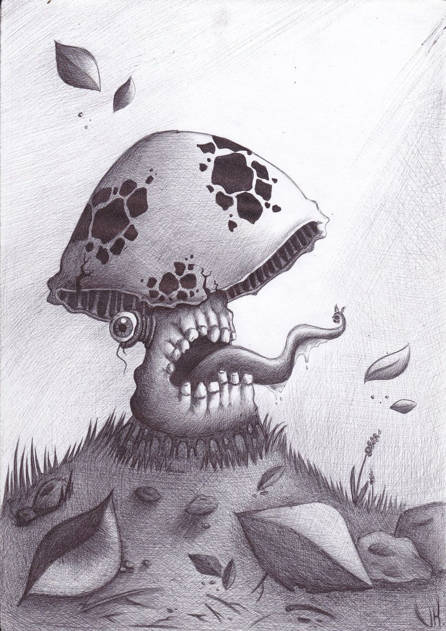 Cool Mushroom Drawing Pic