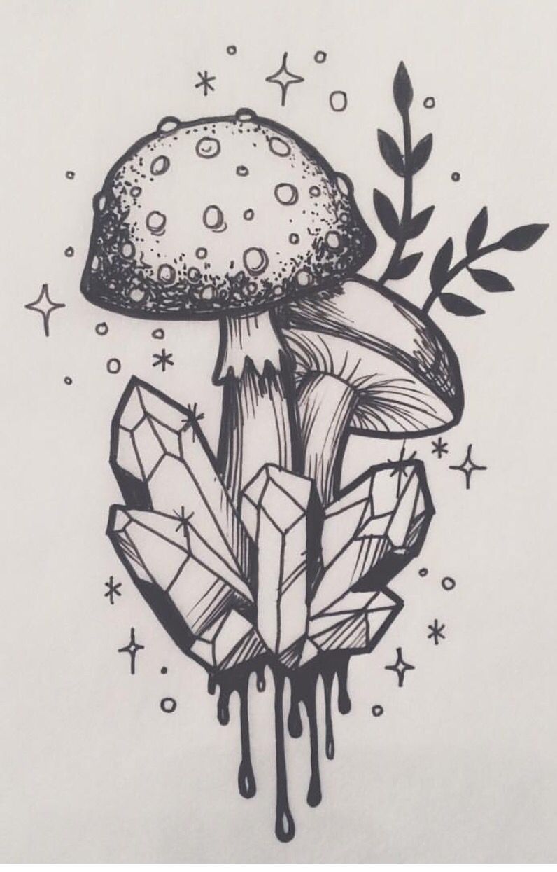 Cool Mushroom Drawing Picture