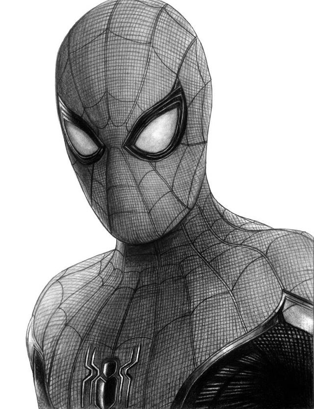 Cool Spider Man Best Drawing