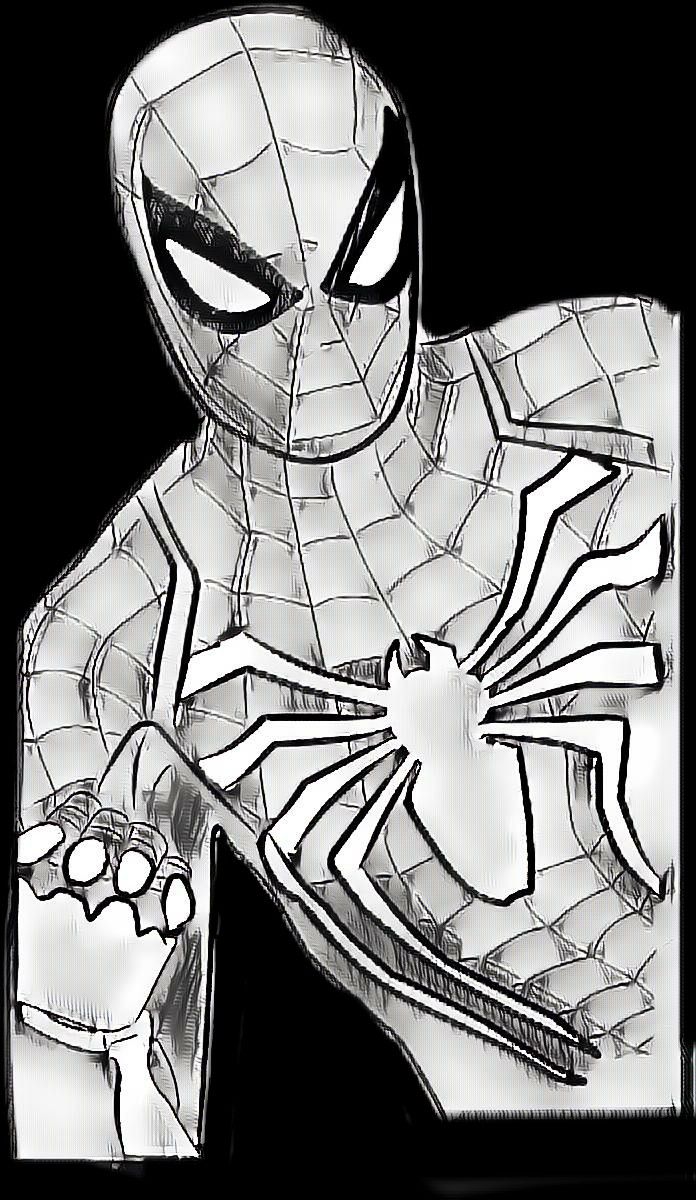 Cool Spider Man Drawing Beautiful Art