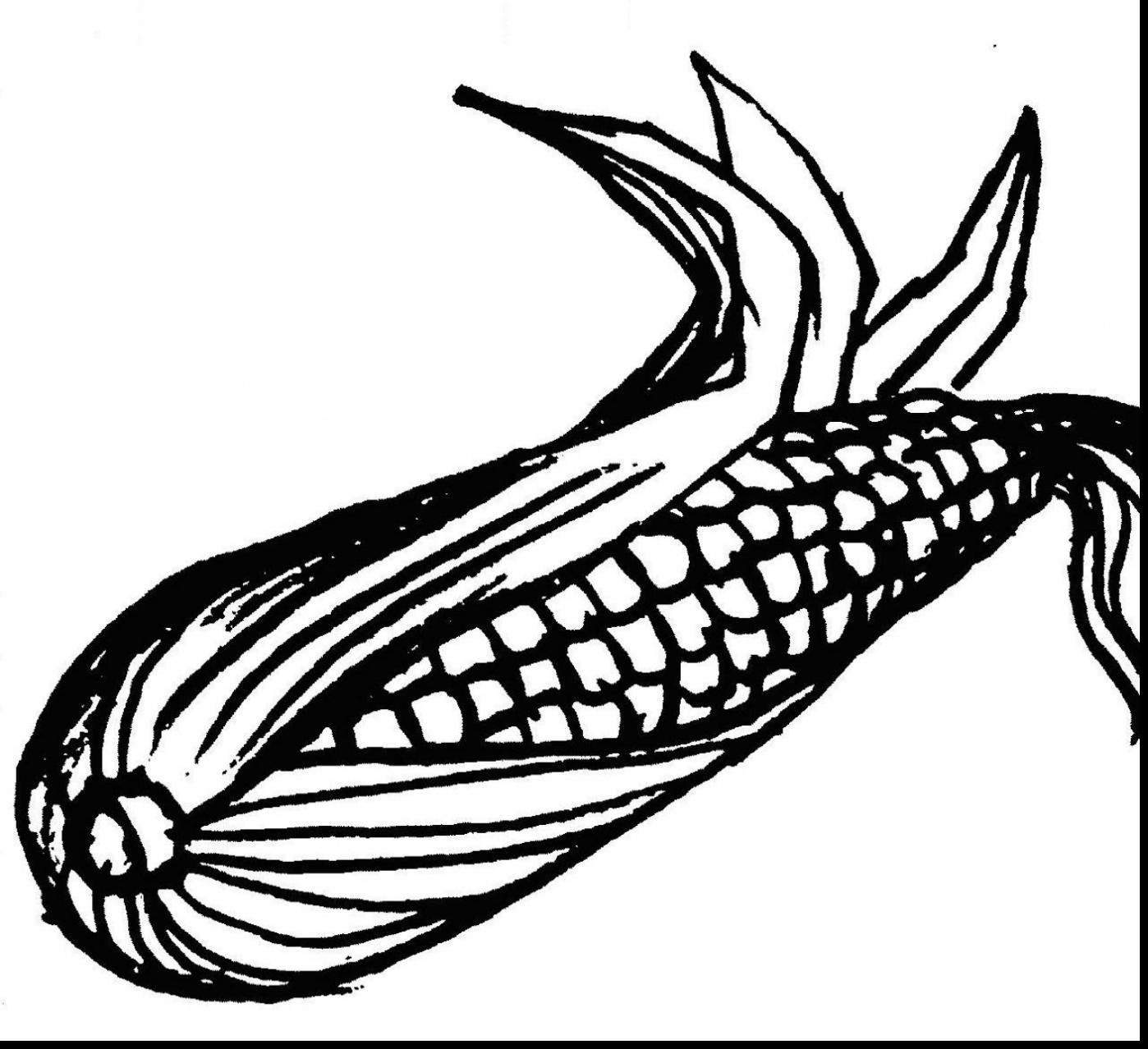 Corn Best Drawing
