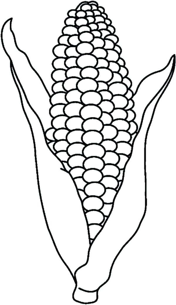 Corn Drawing Images