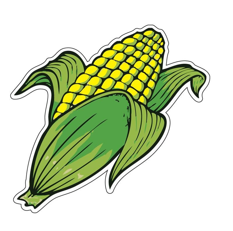 Corn Drawing Pic