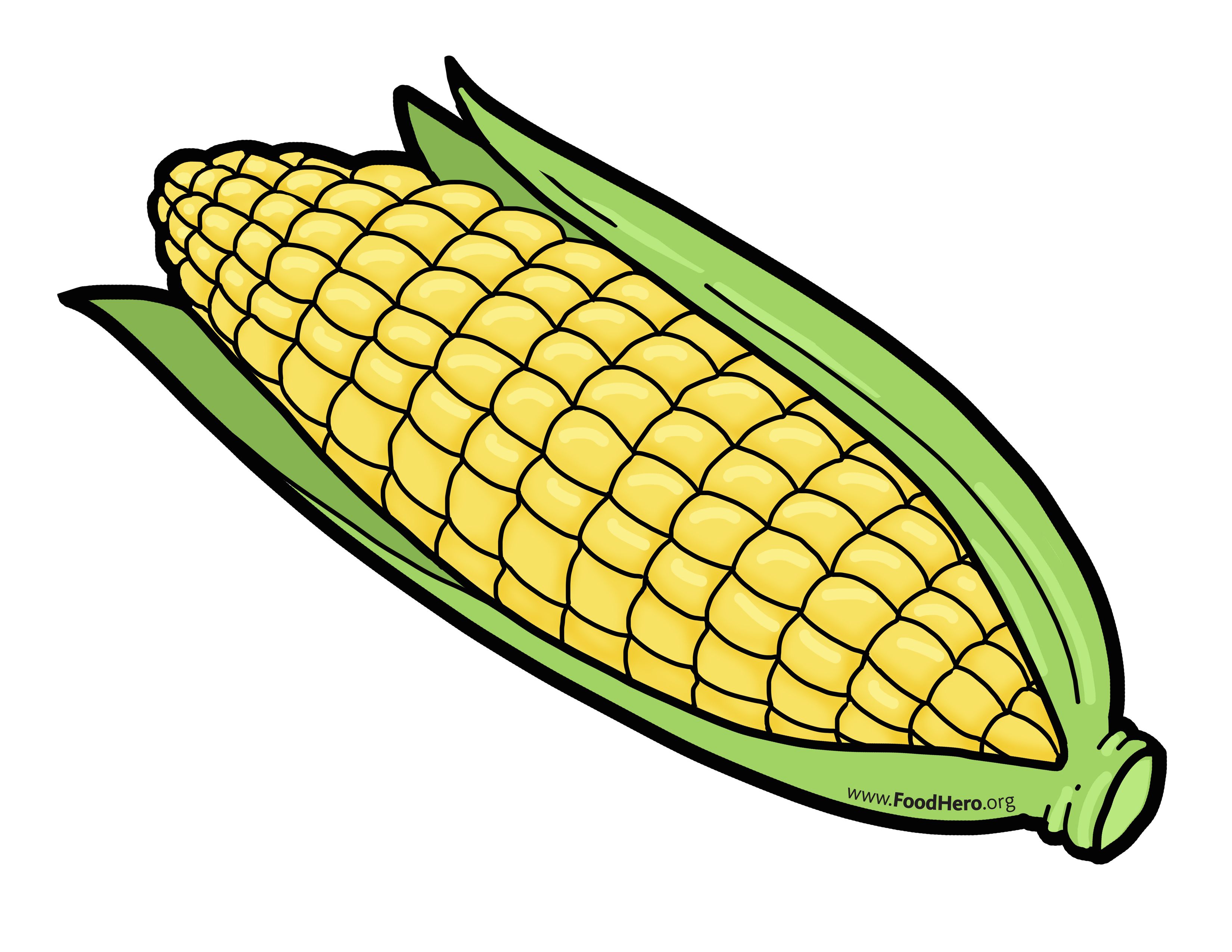 Corn Drawing Picture