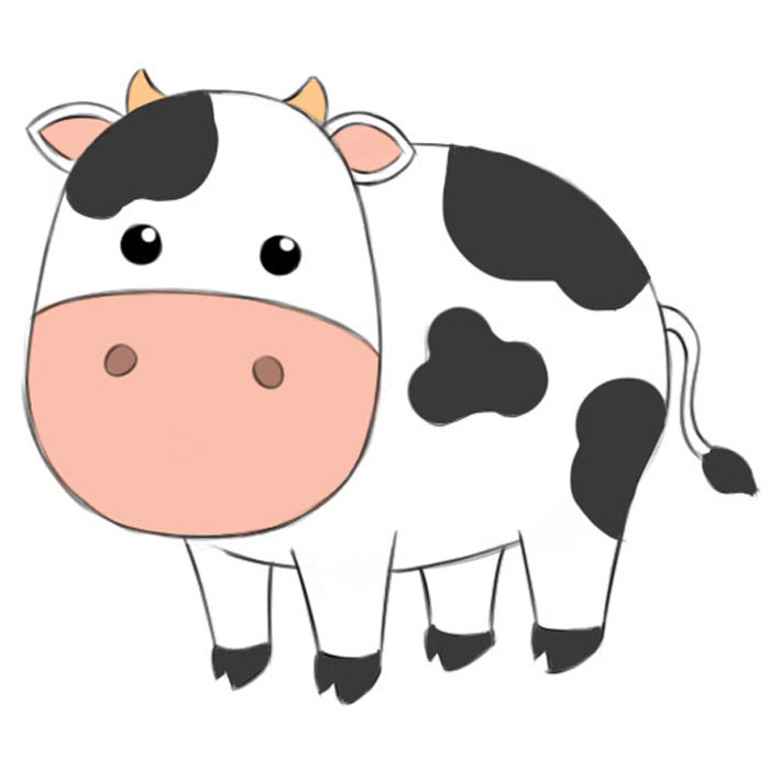 Cow Cartoon Drawing Photo