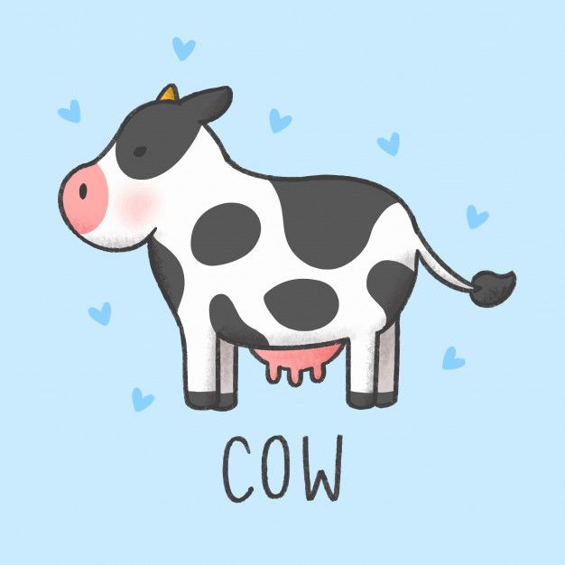 Cow Cartoon Drawing Sketch