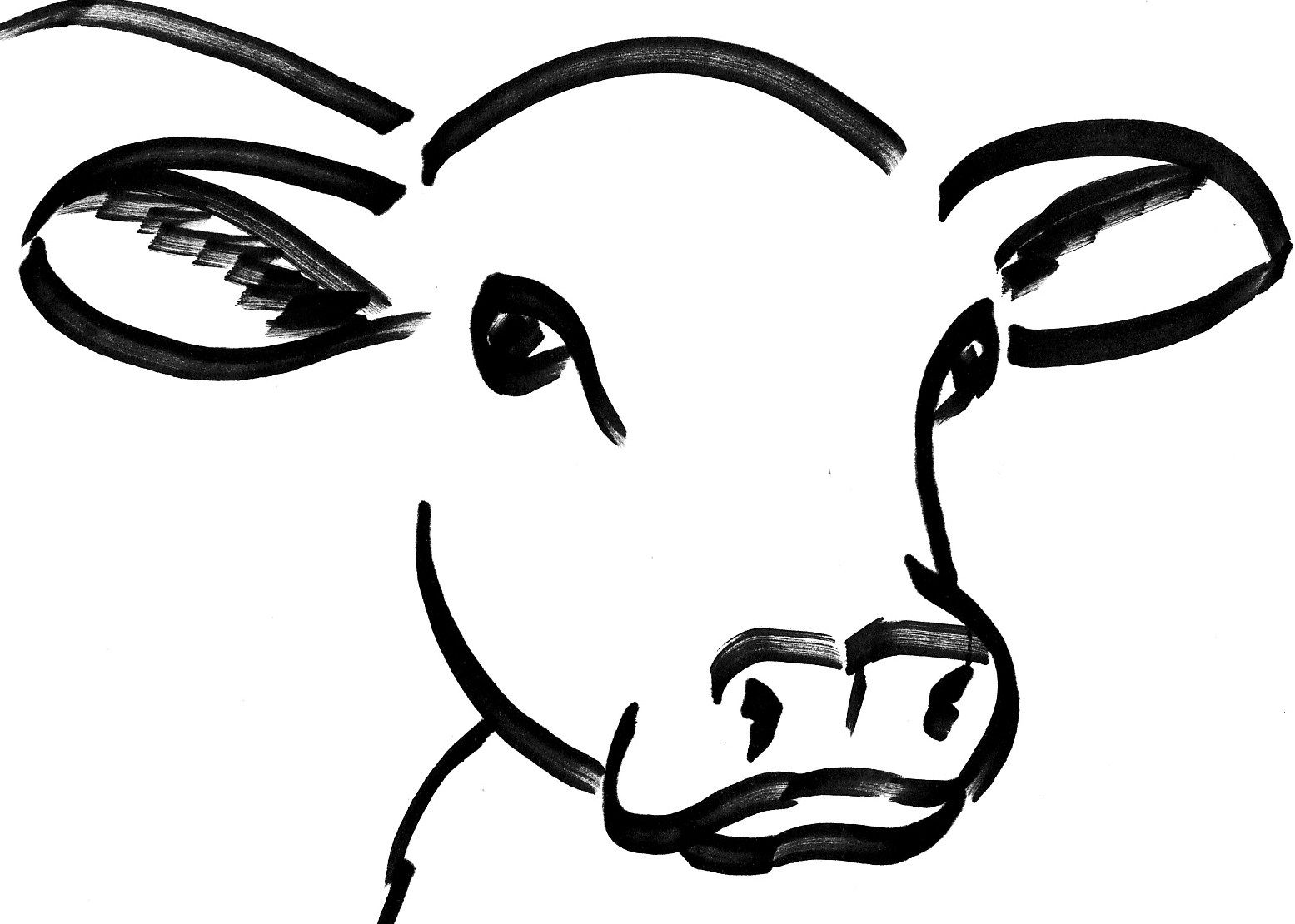 Cow Face Drawing Picture