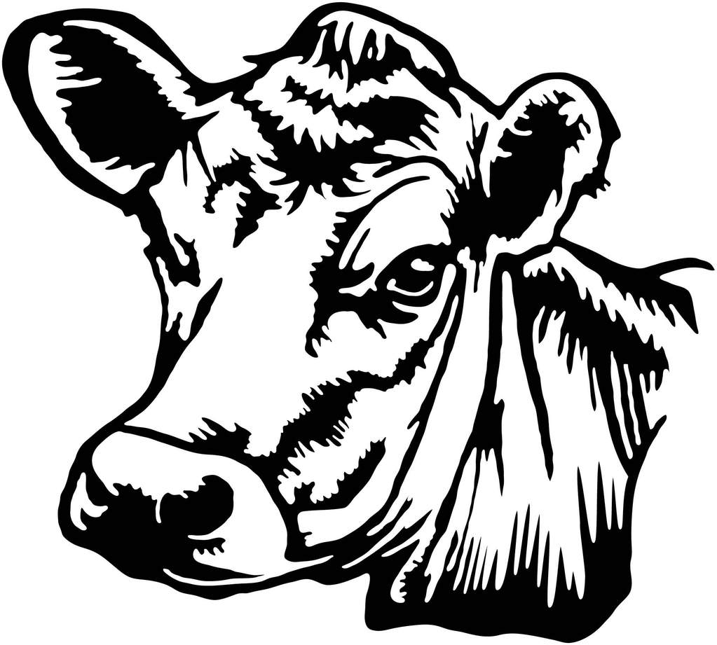 Cow Head Drawing Image