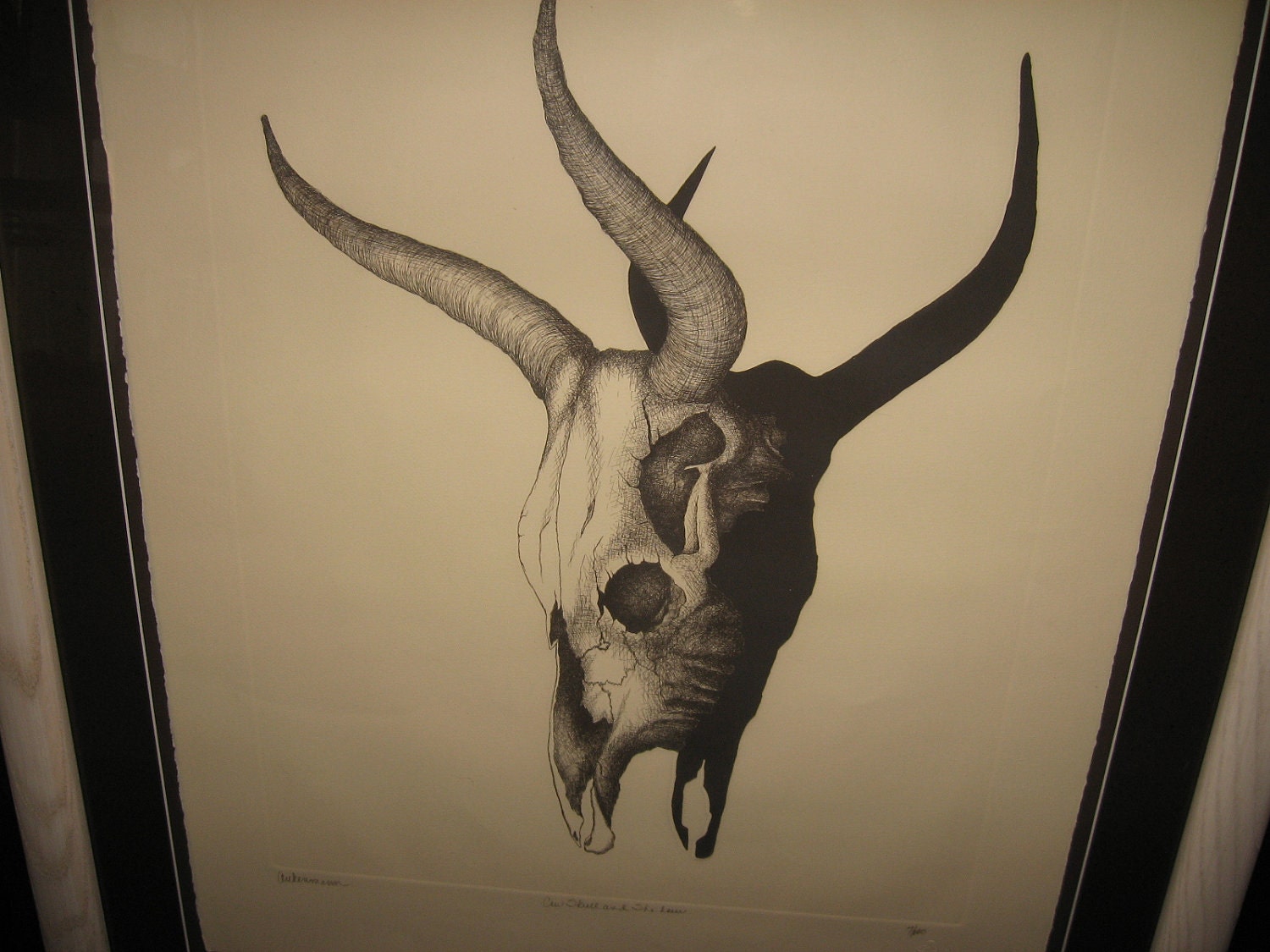 Cow Skull Drawing Amazing