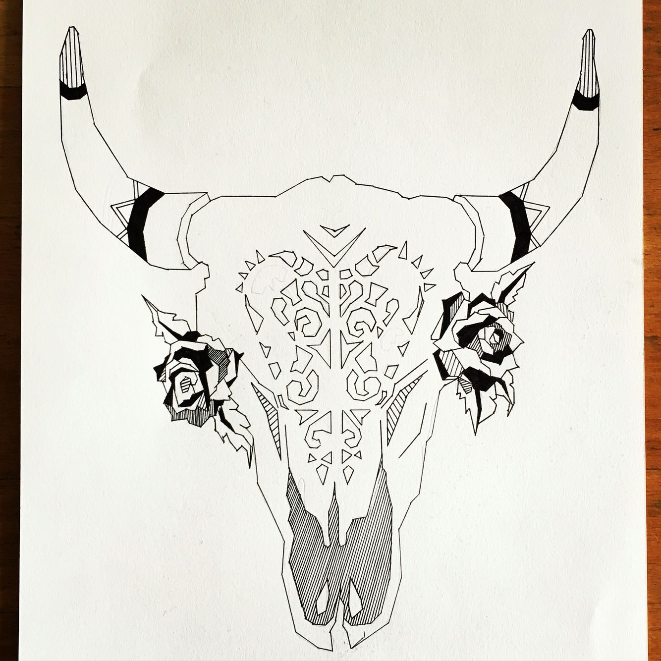 Cow Skull Drawing Image