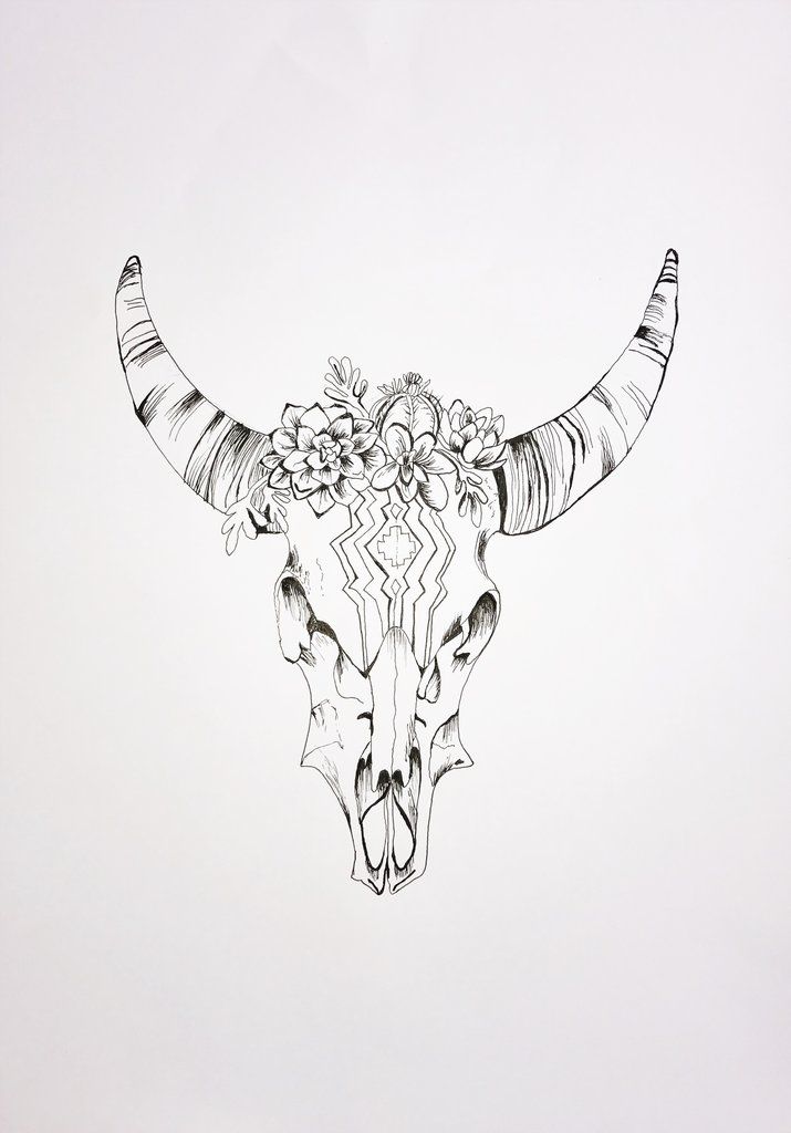 Cow Skull Drawing Pic