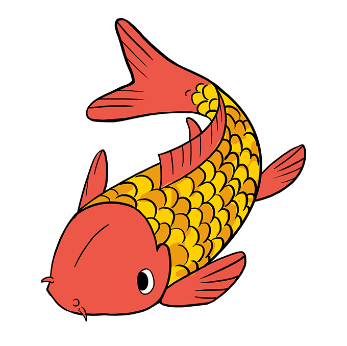 Coy Fish Drawing Art