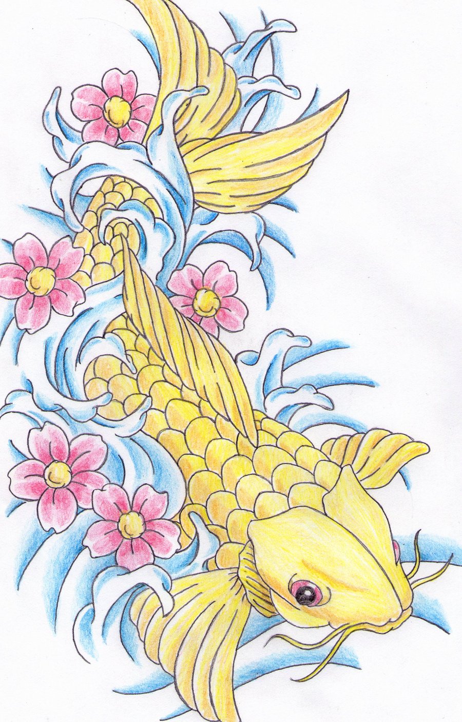 Coy Fish Drawing Images