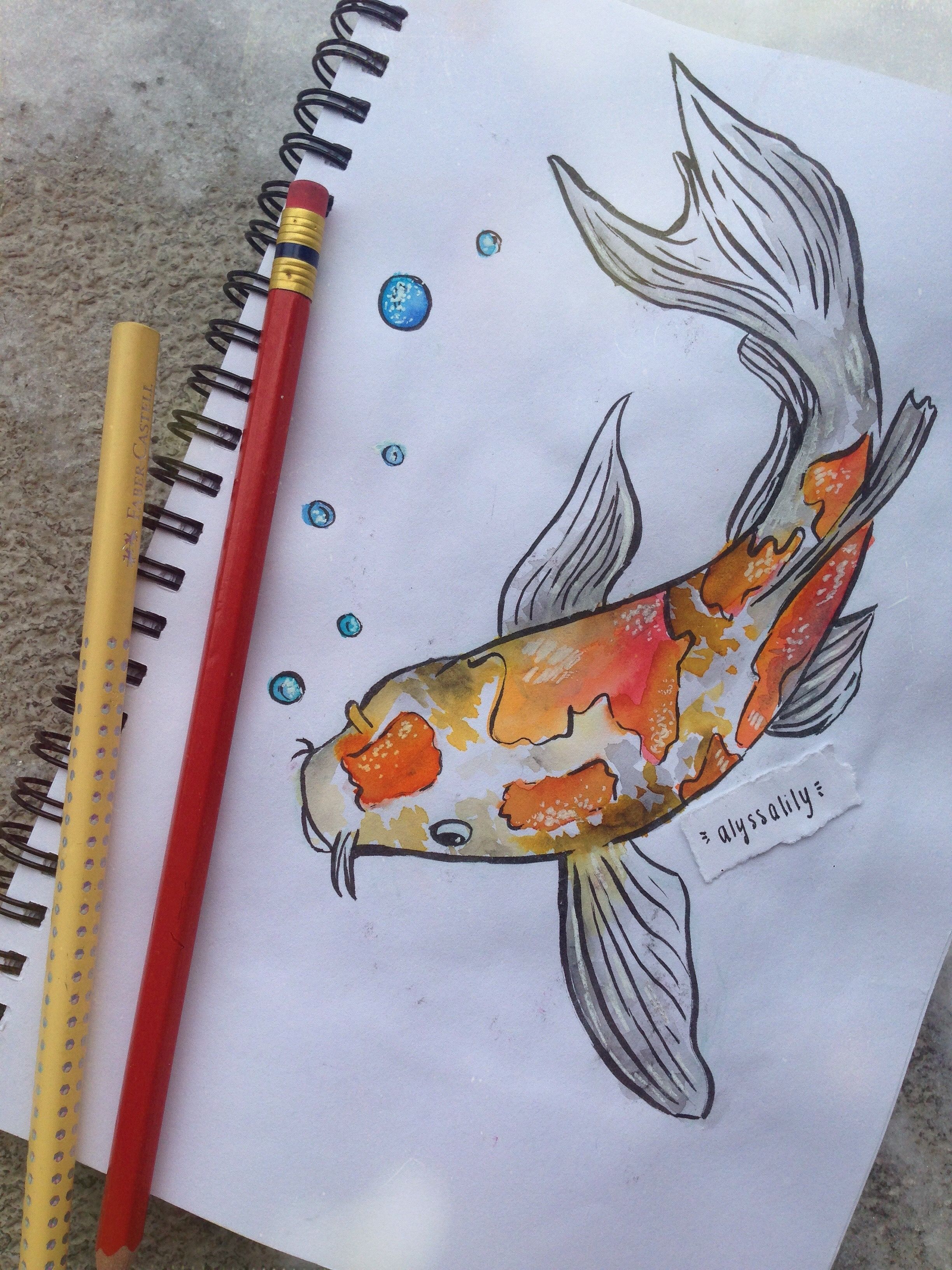 Coy Fish Drawing Pic