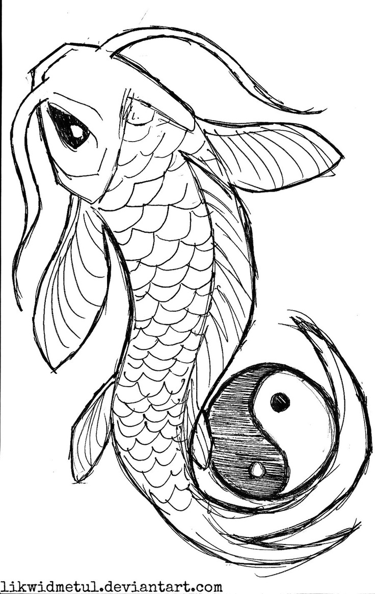 Coy Fish Drawing Pics