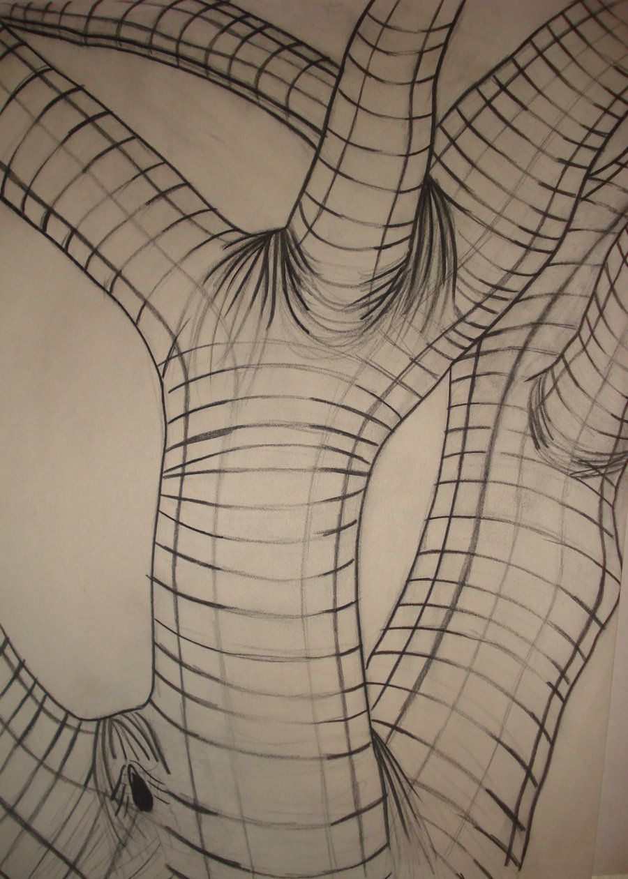 Cross Contour Drawing Sketch