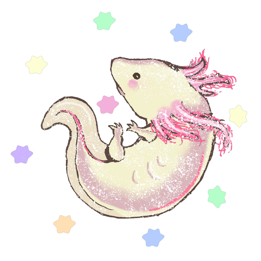 Cute Axolotl Drawing Image
