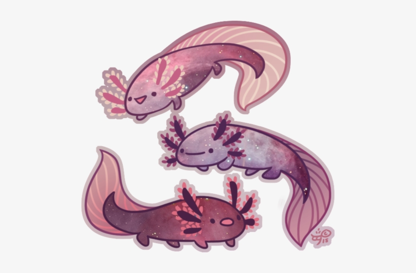 Cute Axolotl Drawing Realistic