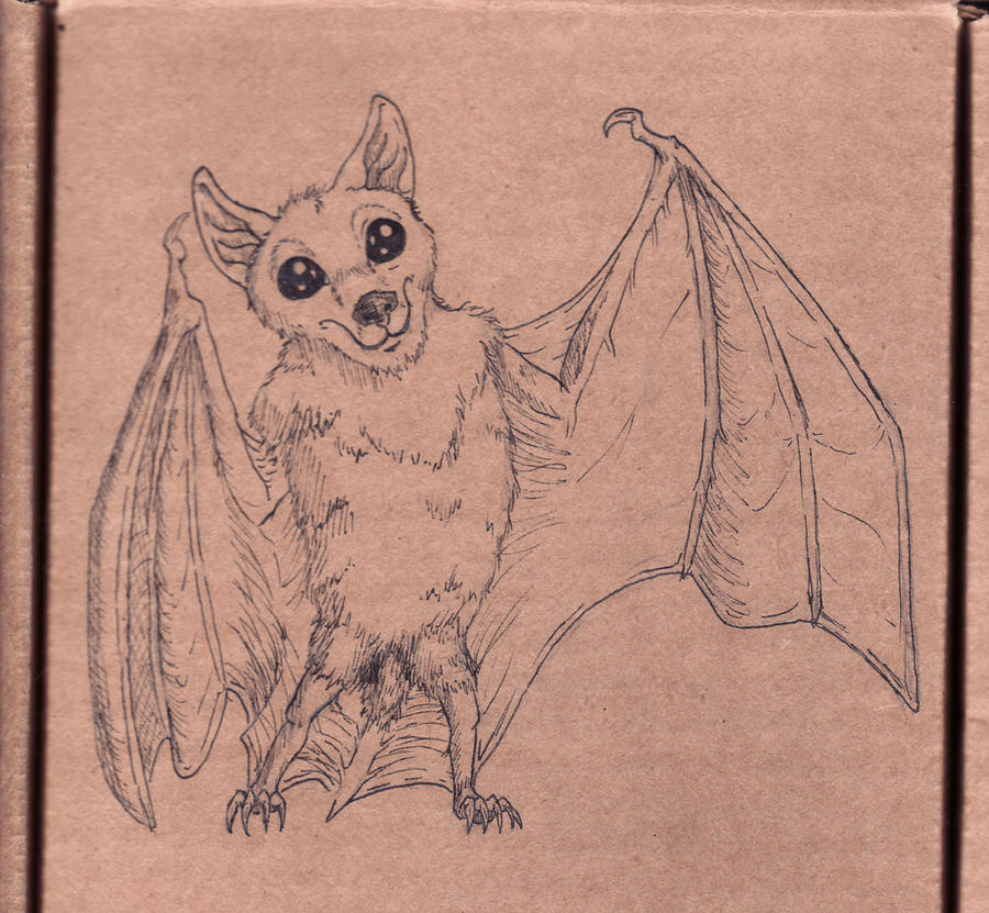 Cute Bat Drawing Image