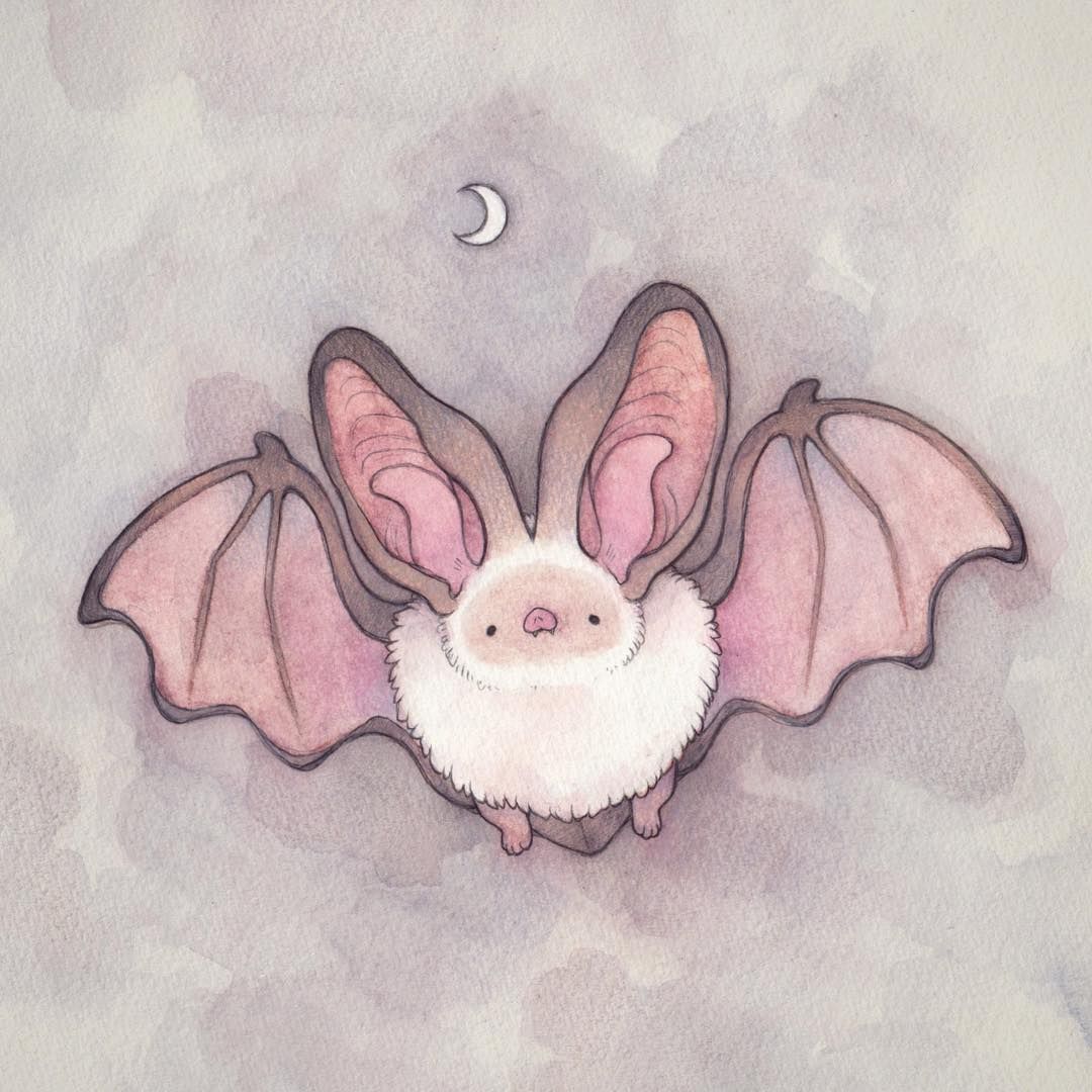 Cute Bat Drawing Picture