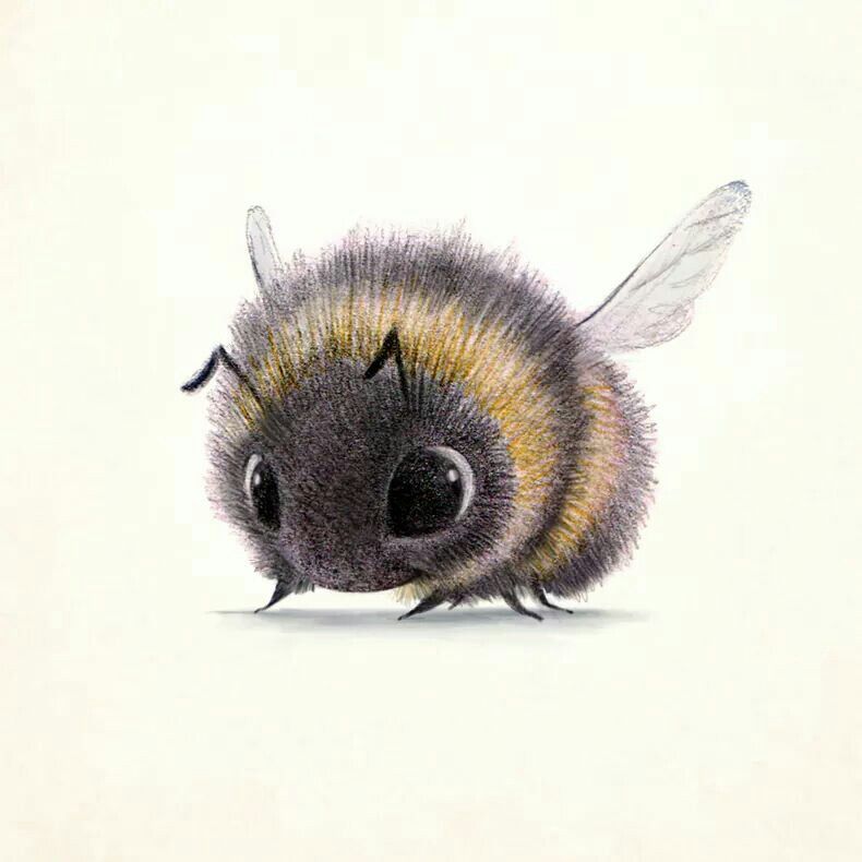 Cute Bee Drawing Image