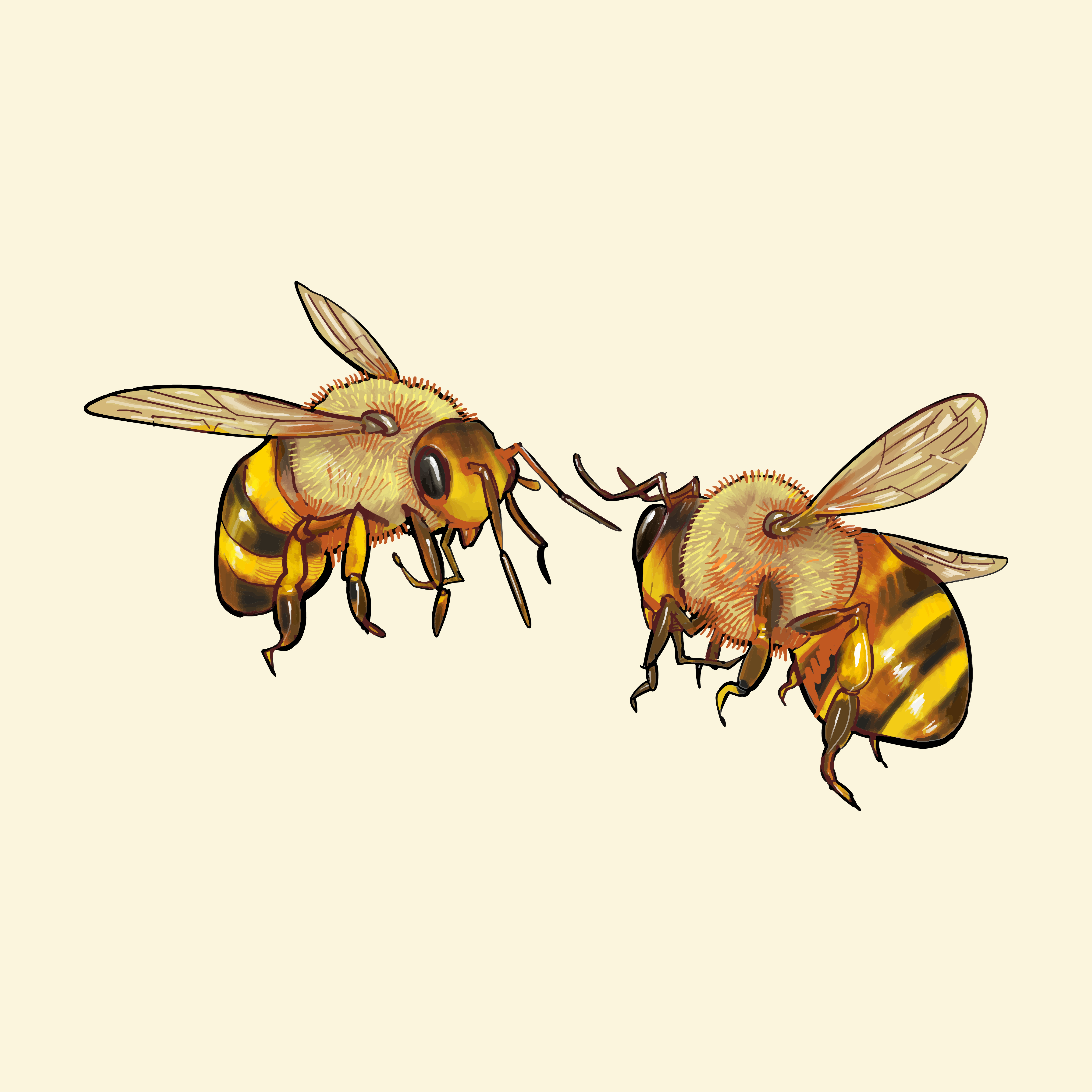 Cute Bee Drawing Pic
