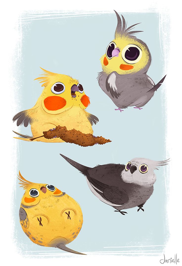 Cute Bird Best Drawing