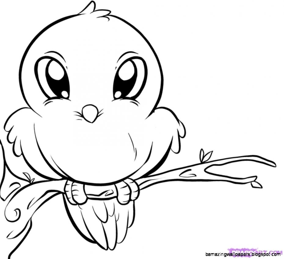 Cute Bird Drawing Art