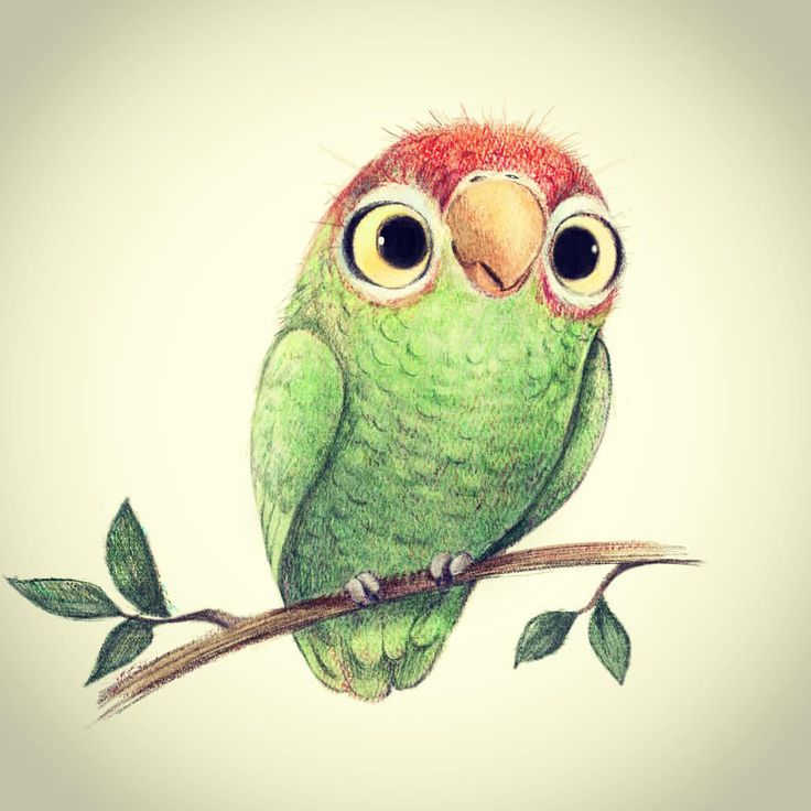 Cute Bird Drawing Beautiful Image