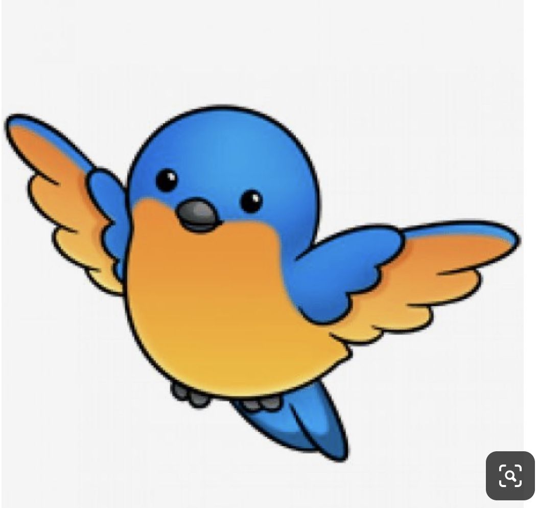 Cute Bird Drawing Images