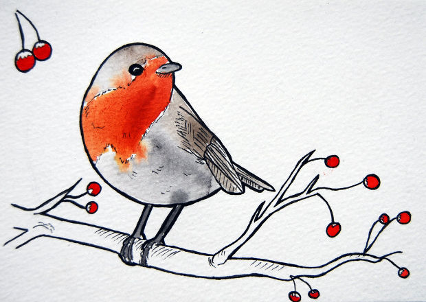 Cute Bird Drawing Photo