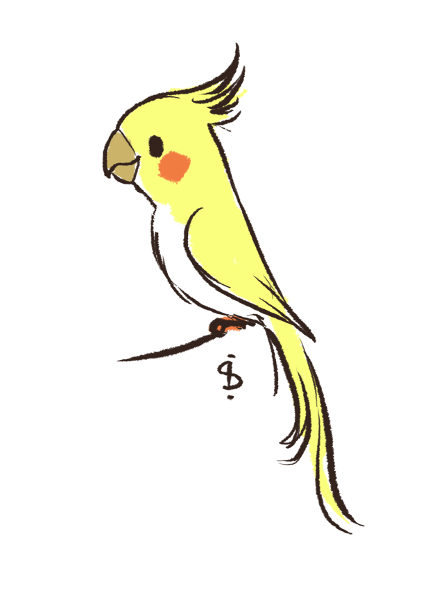 Cute Bird Drawing Pics