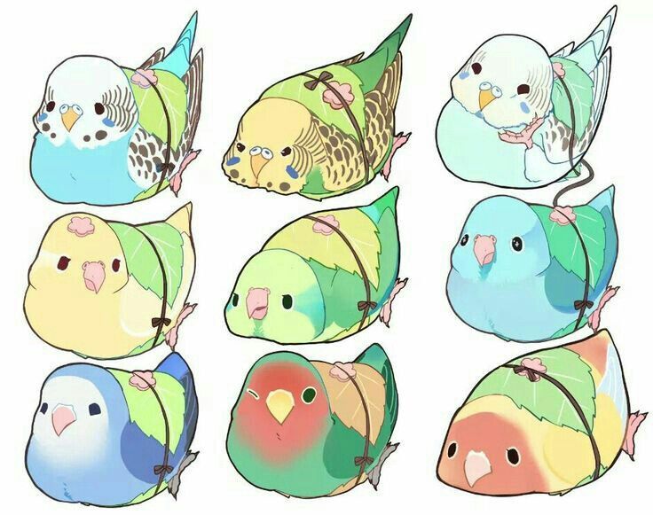 Cute Bird Drawing Picture