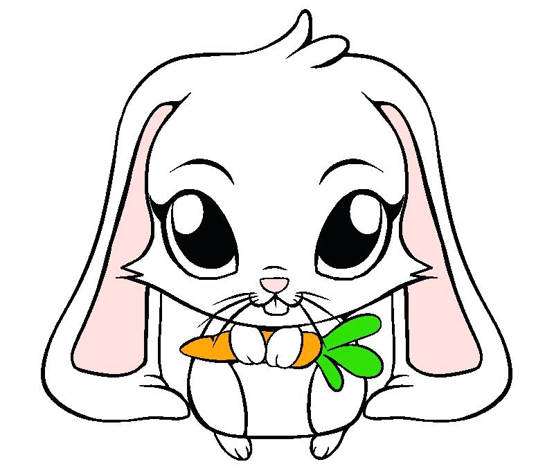 Cute Bunny Drawing Beautiful Art