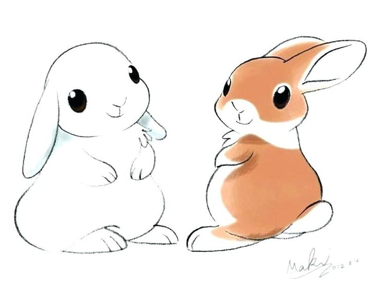 Cute Bunny Drawing Images