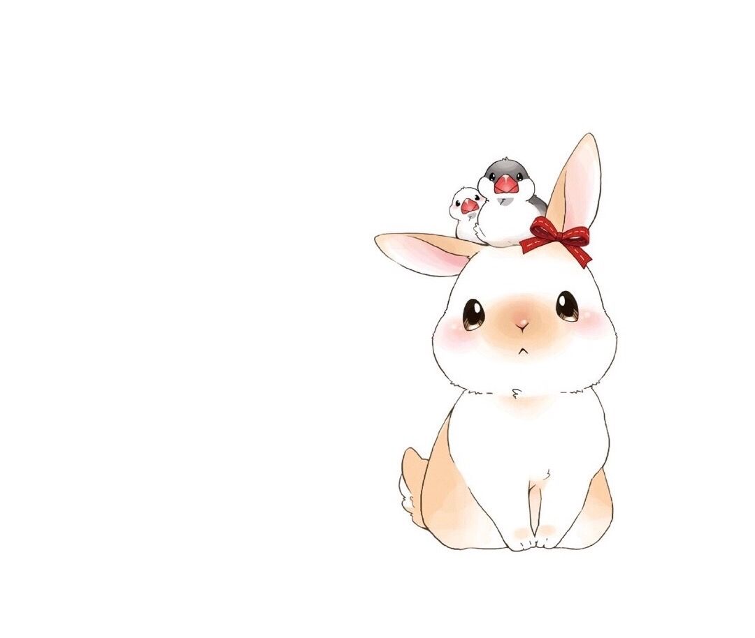 Cute Bunny Drawing Photo