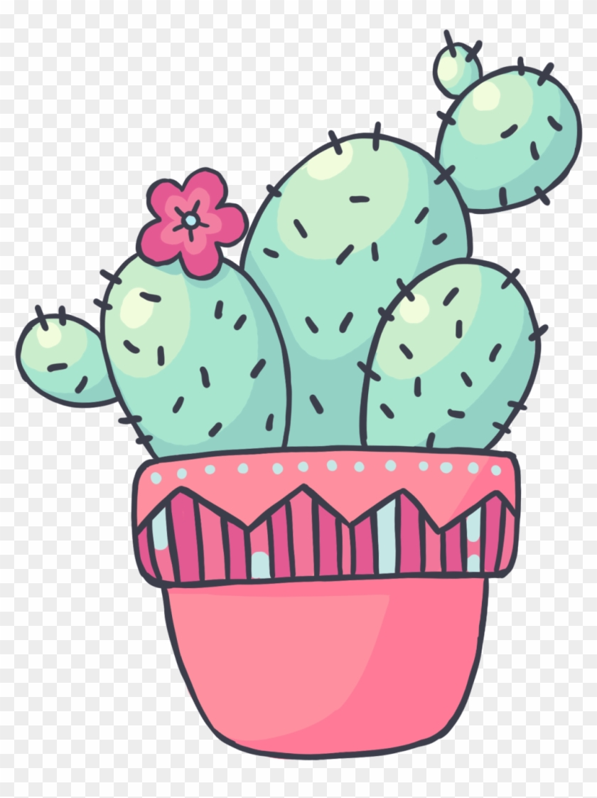Cute Cactus Drawing Realistic