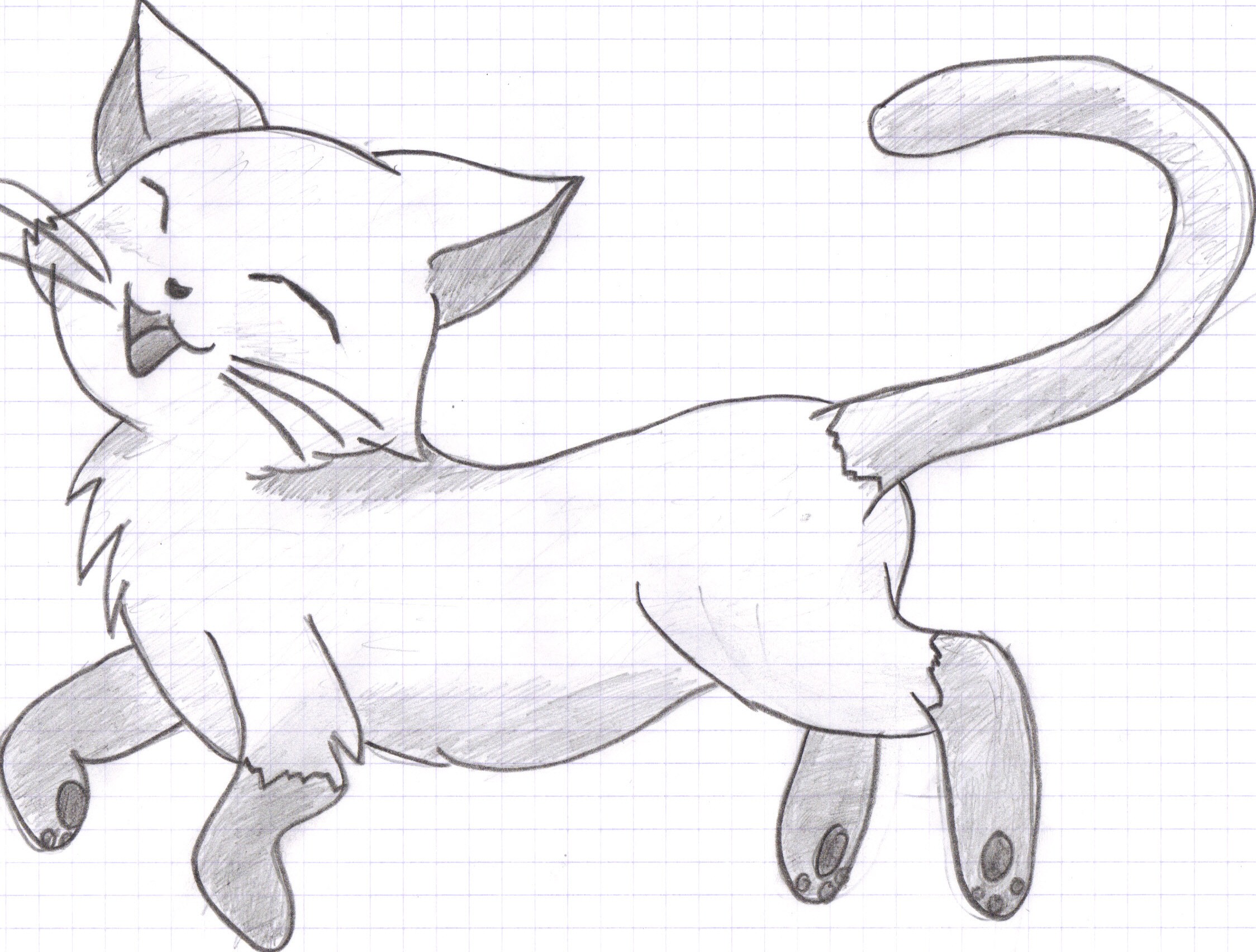 How to draw an anime cat  Step by step Drawing tutorials