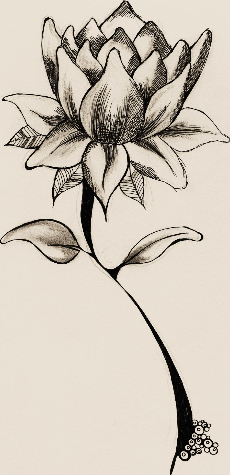 Cute Flower Drawing Amazing