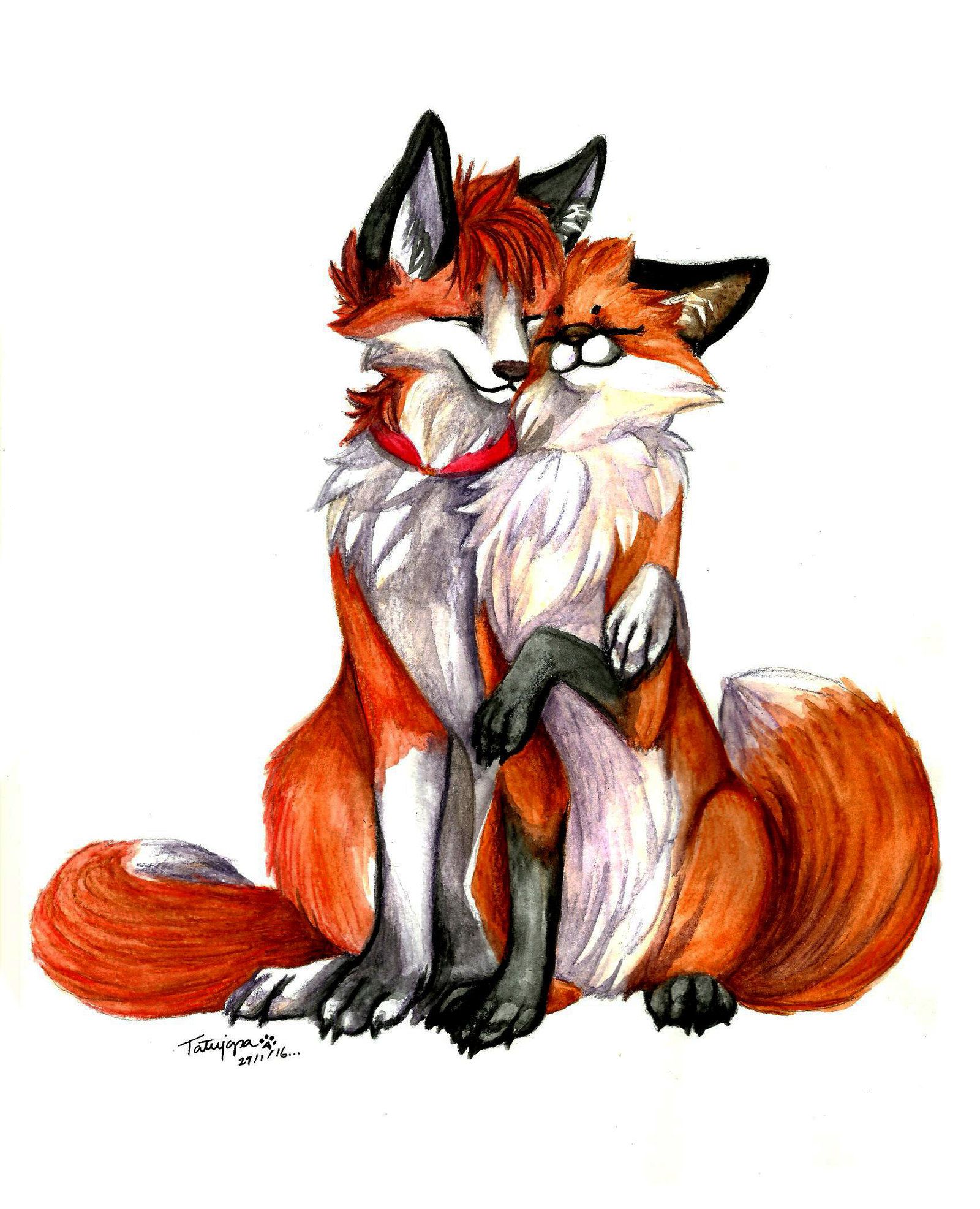 Cute Fox Drawing Creative Art