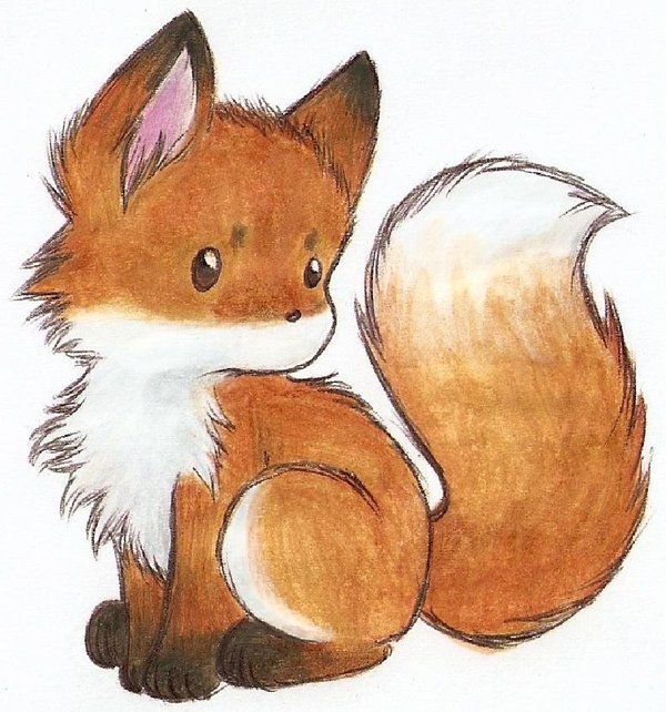 Cute Fox Drawing Sketch